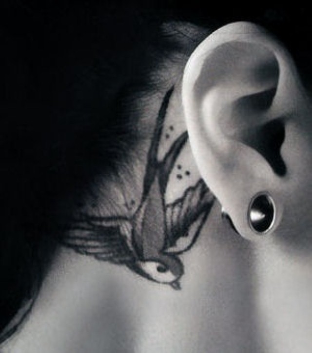 Black And Grey Swallow Tattoo On Behind The Ear