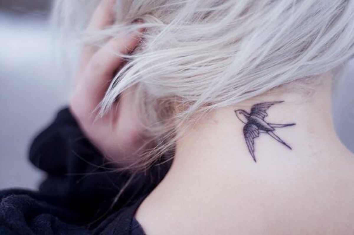 7 Most Beautiful Swallow Tattoo Design Ideas