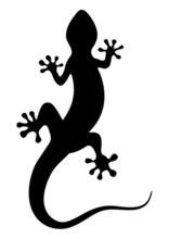 Black Lizard Silhouette Tattoo Design