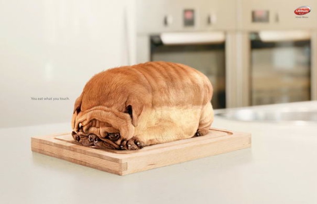 Bread Dog Funny Advertisement