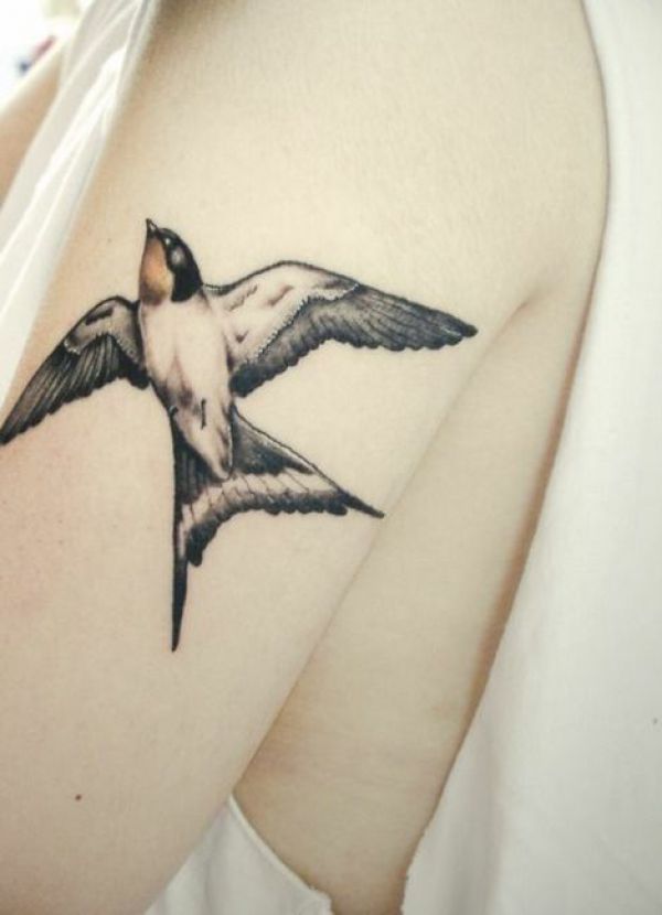 Colorful Flying Swallow Tattoo on Girl Half Sleeve