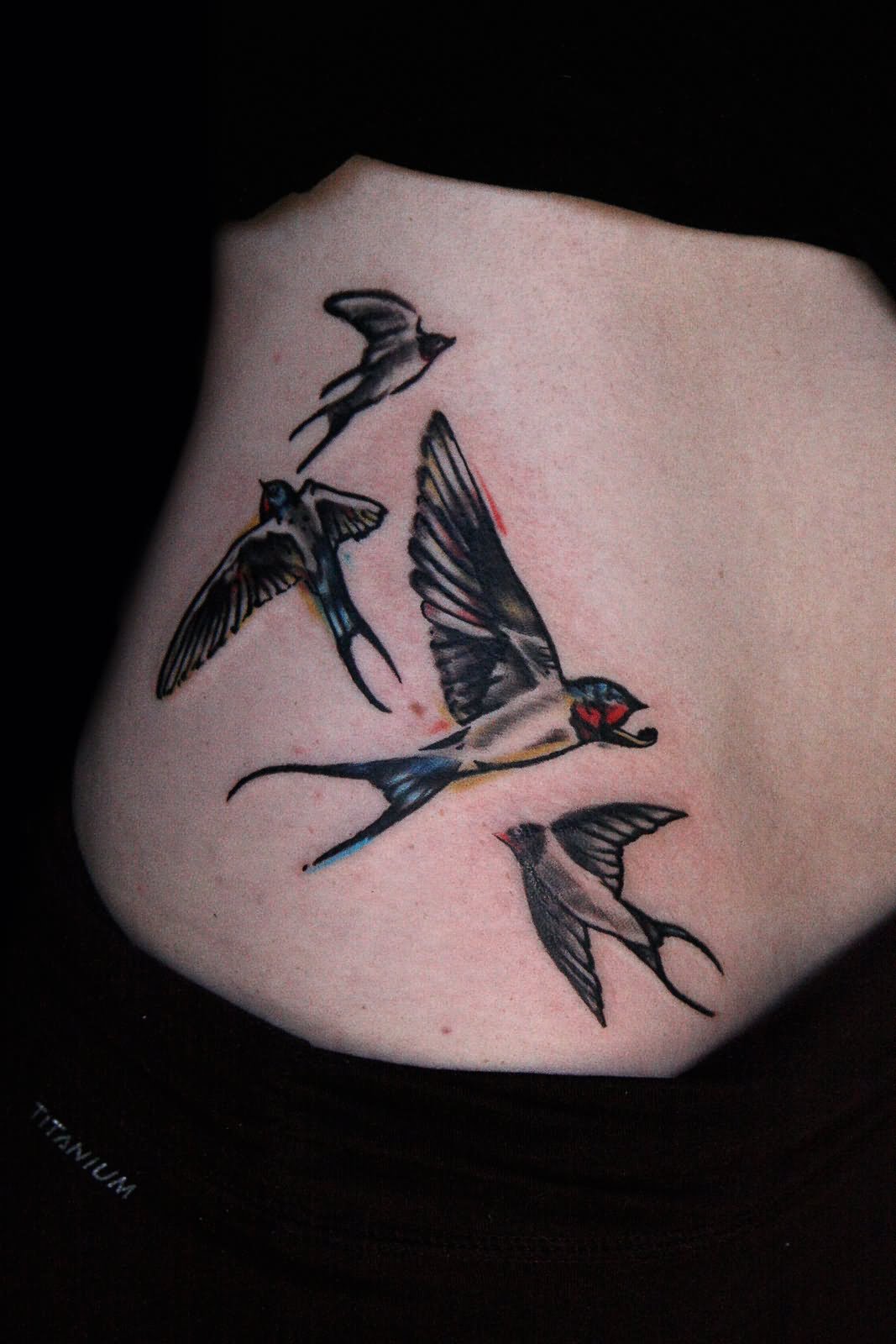 Colorful Swallows Tattoo On Side Rib