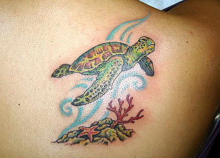 Colorful Turtle In Ocean Tattoo On Back Shoulder