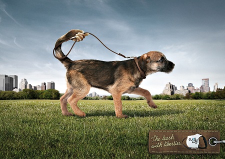 Creative Printing Dog Funny Advertisements