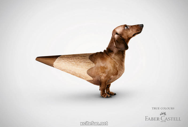 Dogs Pencil Printing Funny Advertisement