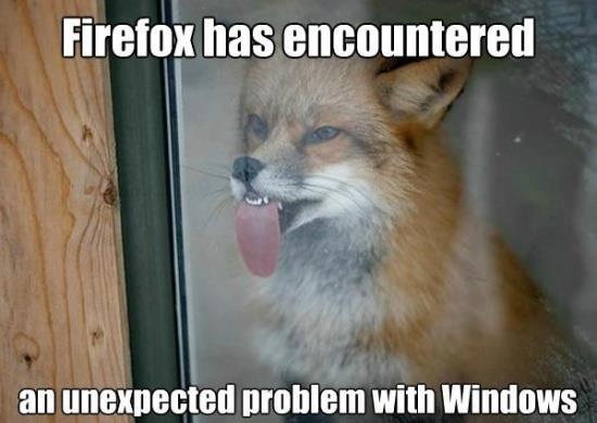 Firefox Has Encountered Funny Animal Meme