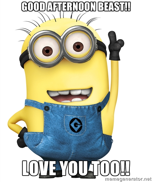 Good Afternoon Beast Love You Too Minion Picture