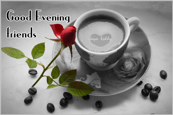 Good Evening Friends Tea Cup And Rose Bud Picture