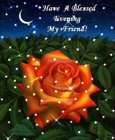 Have A Blessed Evening My Friend Rose Flower Star Twinkling Glitter
