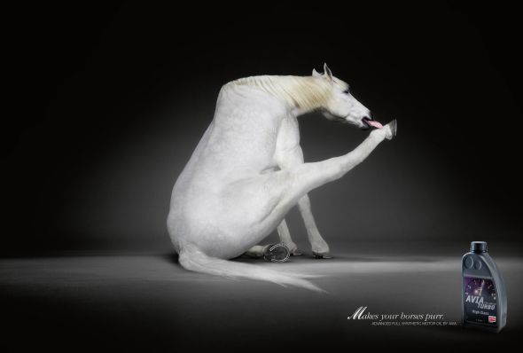 Horse Licking His Foot Motor Oil By Avia Funny Advertisement