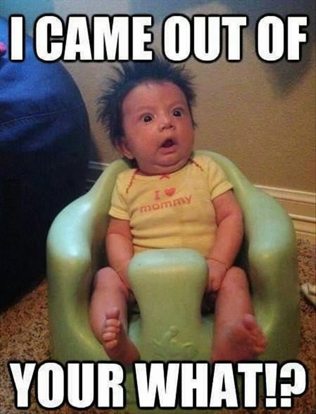 I Came Out Of Your What Funny Baby Meme