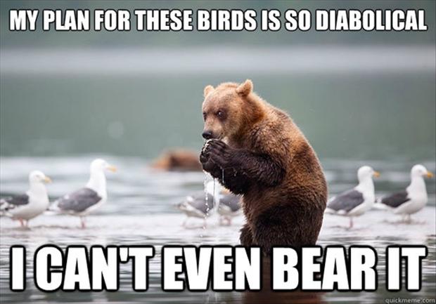 I Can't Even Bear It Funny Animal Caption