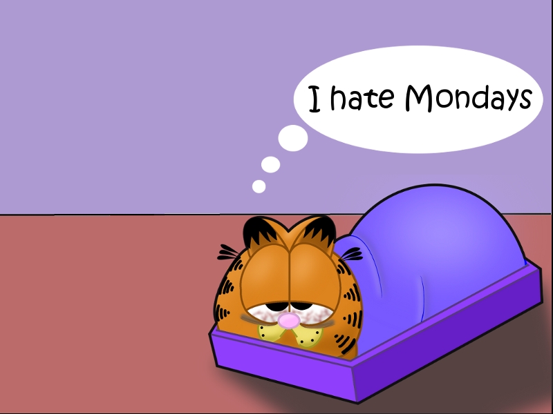 I Hate Mondays Sleeping Garfield Picture