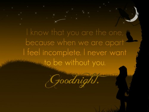 I Never Want To Be Without You Good Night