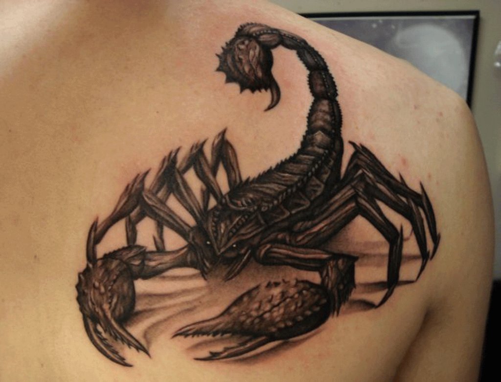 Incredible Scorpion Tattoo On Right Back Shoulder