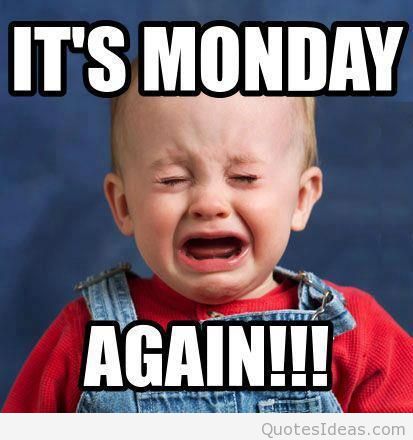 27 Best I Hate Monday Images