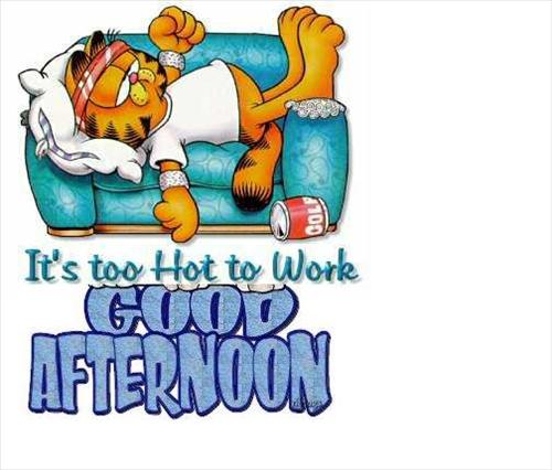 It’s Too Hot To Work Good Afternoon Sleeping Garfield Picture