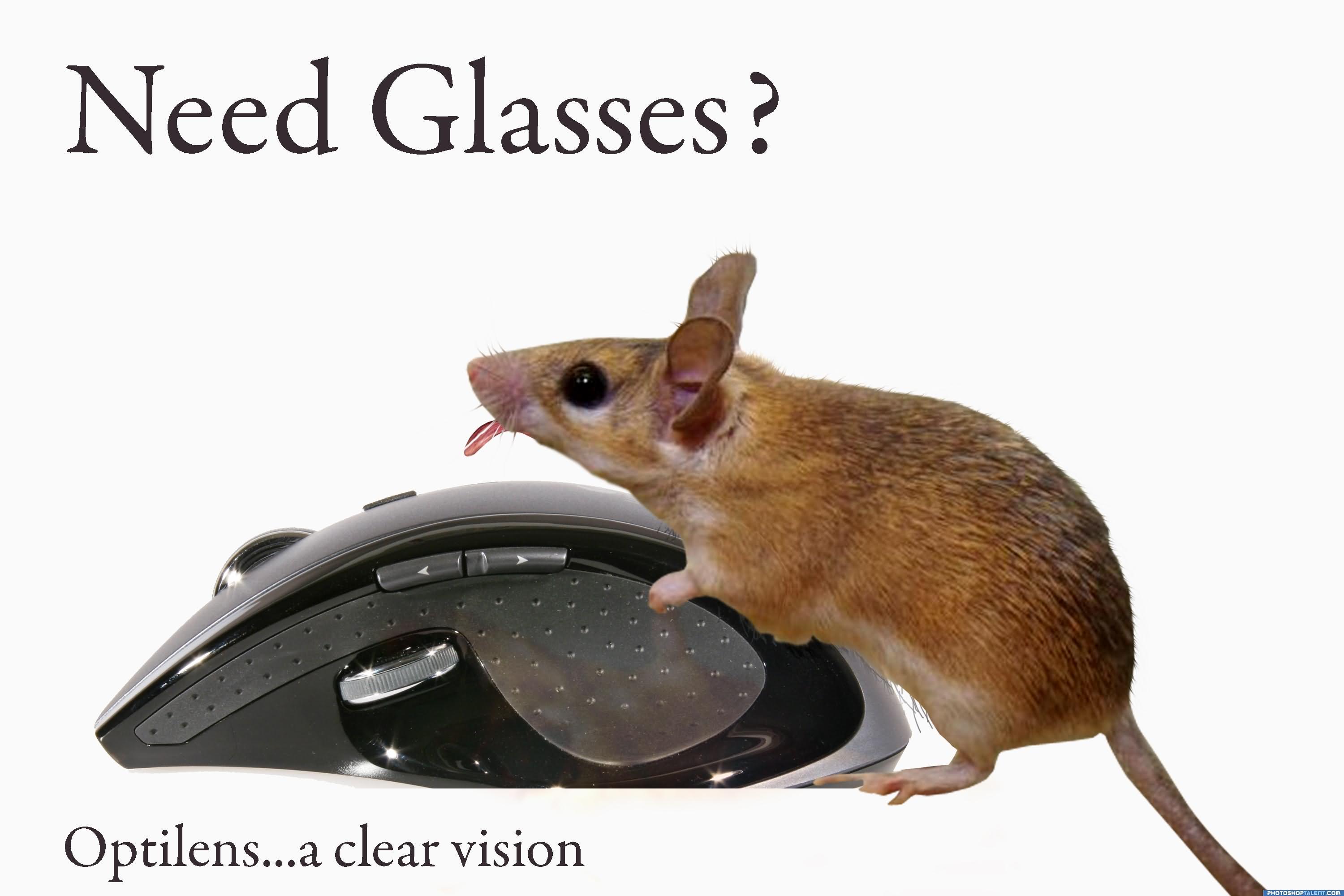 Need Glasses Funny Mouse Advertisement