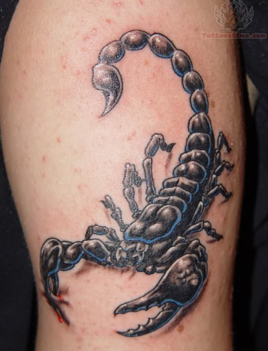 Nice Grey Ink Scorpion Tattoo On Half Sleeve