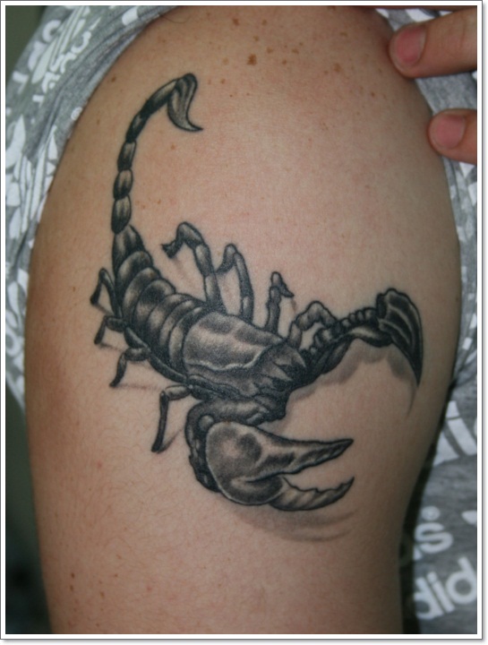 Realistic Grey Ink Scorpion Tattoo On Shoulder