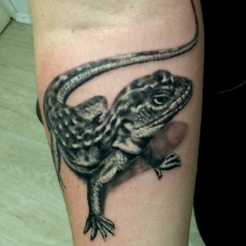 Realistic Lizard Tattoo on Forearm