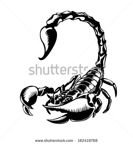 Scorpion Tattoo Idea