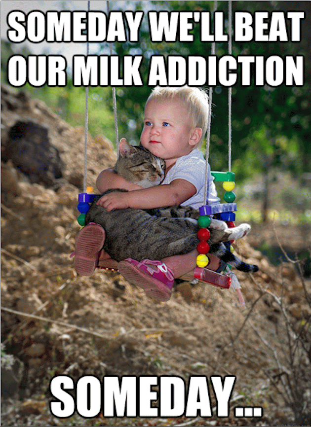 Someday we Will Beat Our Milk Addiction Funny Baby Meme