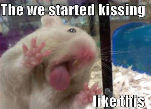The We Started Kissing Funny Animal Caption