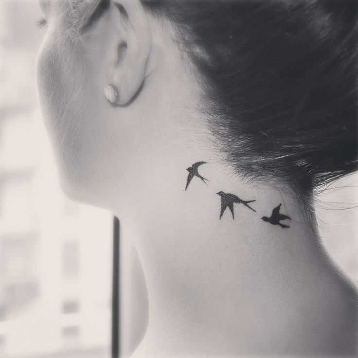 Three Black Flying Swallows Tattoo On Girl Back Neck