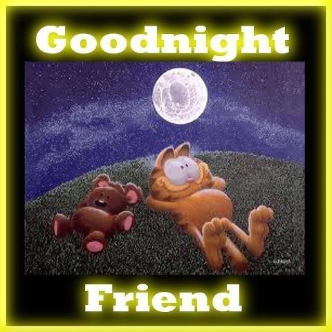 Tigerfield And Teddy Bear Good Night Friend