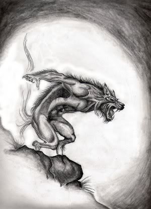 Werewolf Tattoo Design By Janis Brooks