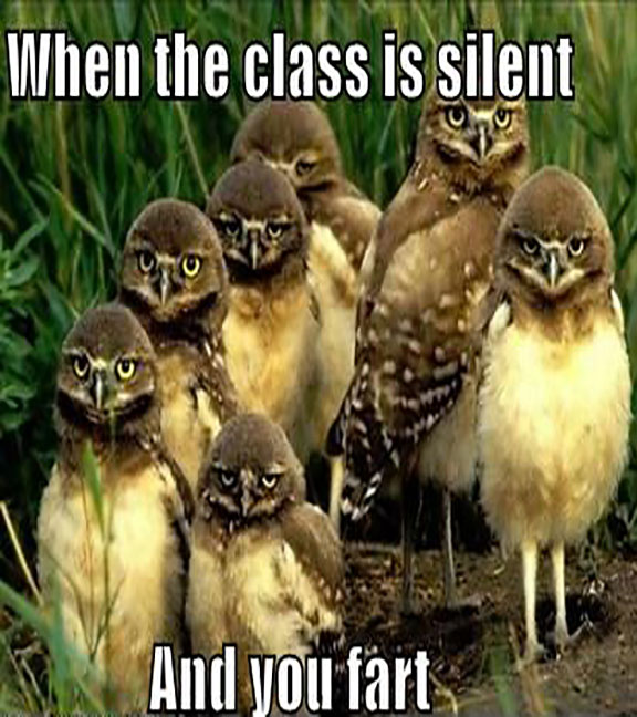 When The class Is silent Funny Animal Caption