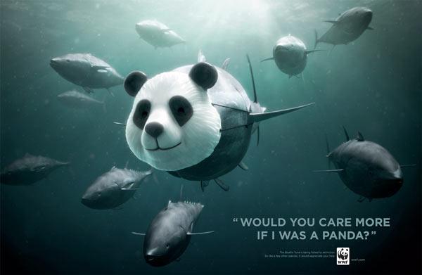 Would You Care More If I Was A Panda Printing Funny Advertisement