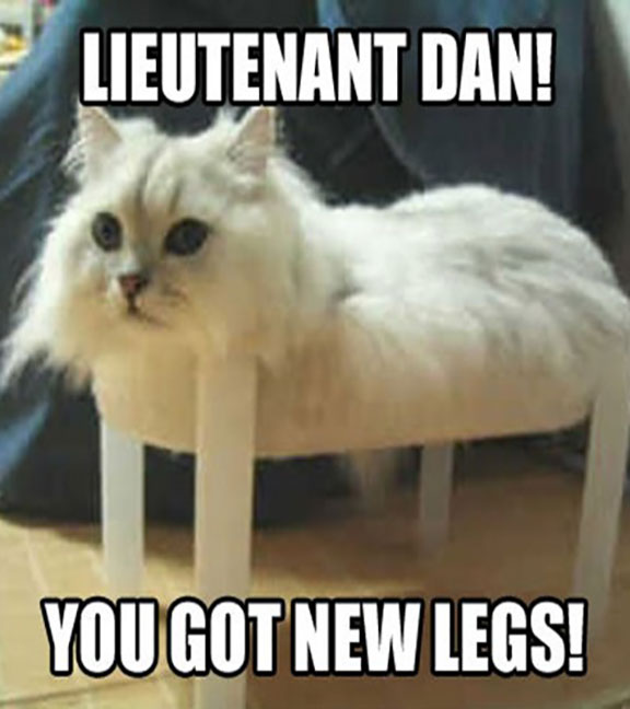 You Got New Legs Funny Animal Caption