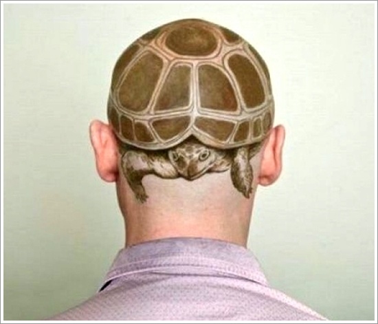 3D Turtle Tattoo On Man Head