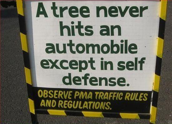 A Tree Never Hits An Automobile Funny Sign Board