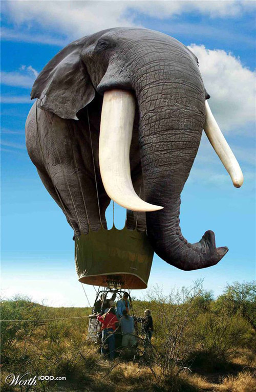 Elephant In Air Balloon Funny Photoshopped