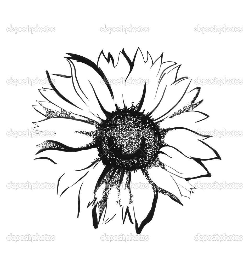 Amazing Black And Grey Sunflower Tattoo Design