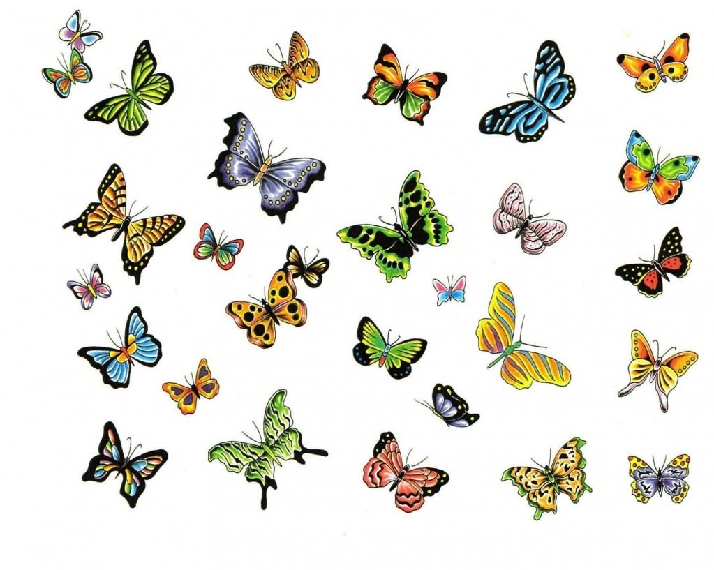 Amazing Colorful Butterflies Tattoo Flash