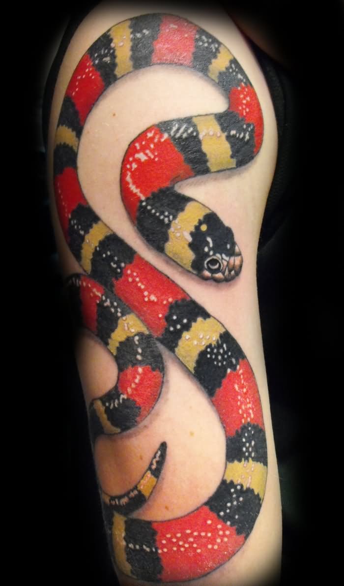 Amazing Colorful Snake Tattoo On Man Half sleeve