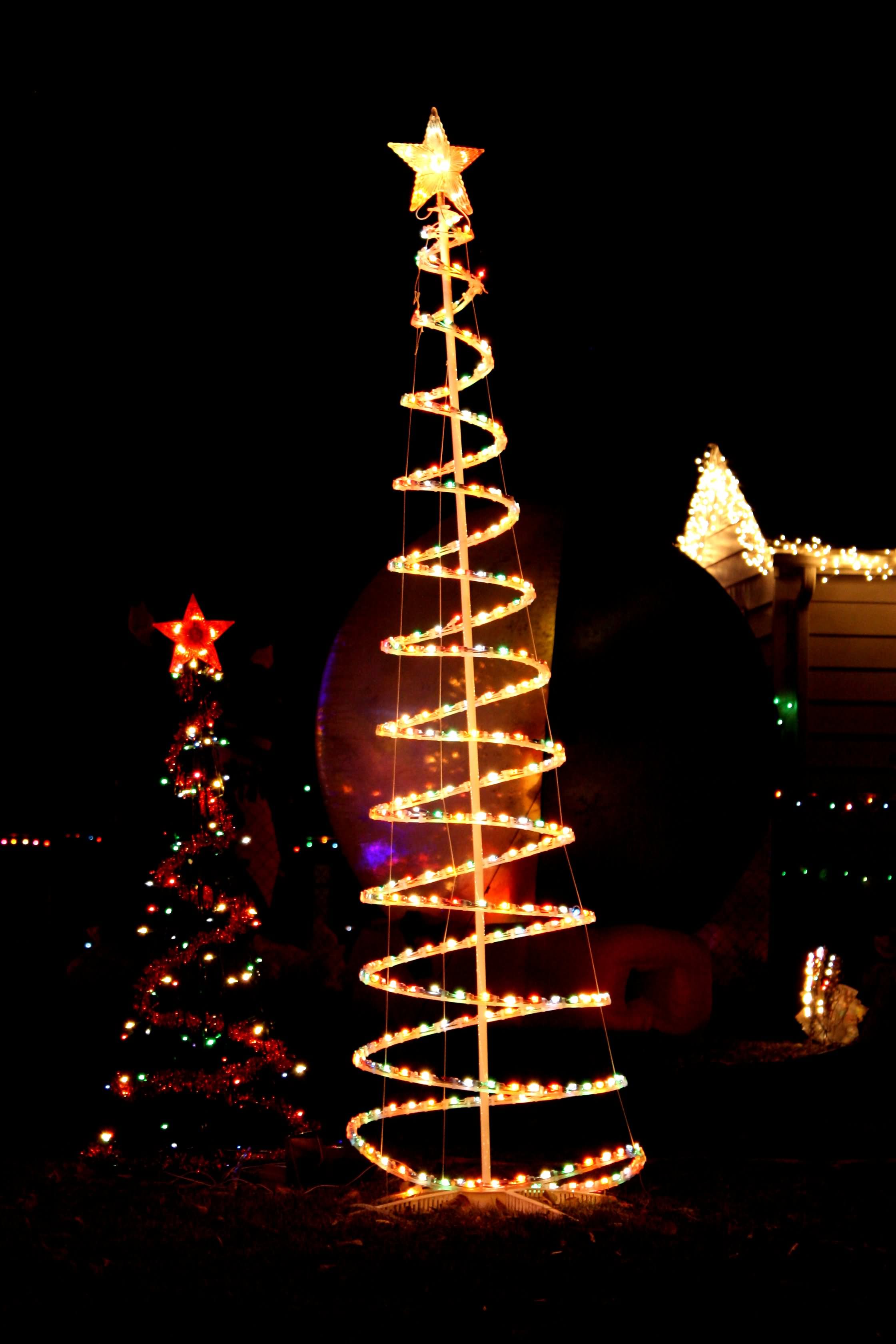 Awesome Christmas Lighting Tree Photo