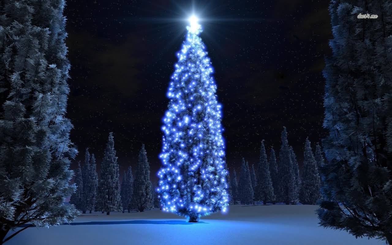 Beautiful Blue Christmas Tree Lights Decoration