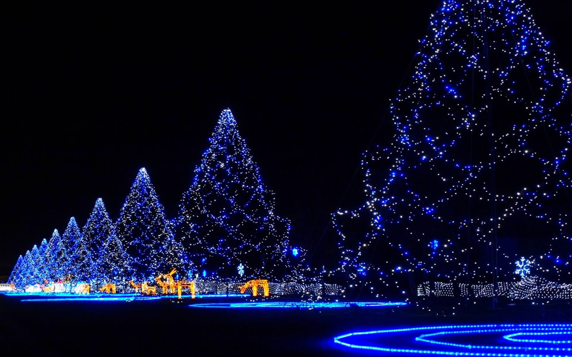 Beautiful Blue Christmas Tree Lighting Decoration