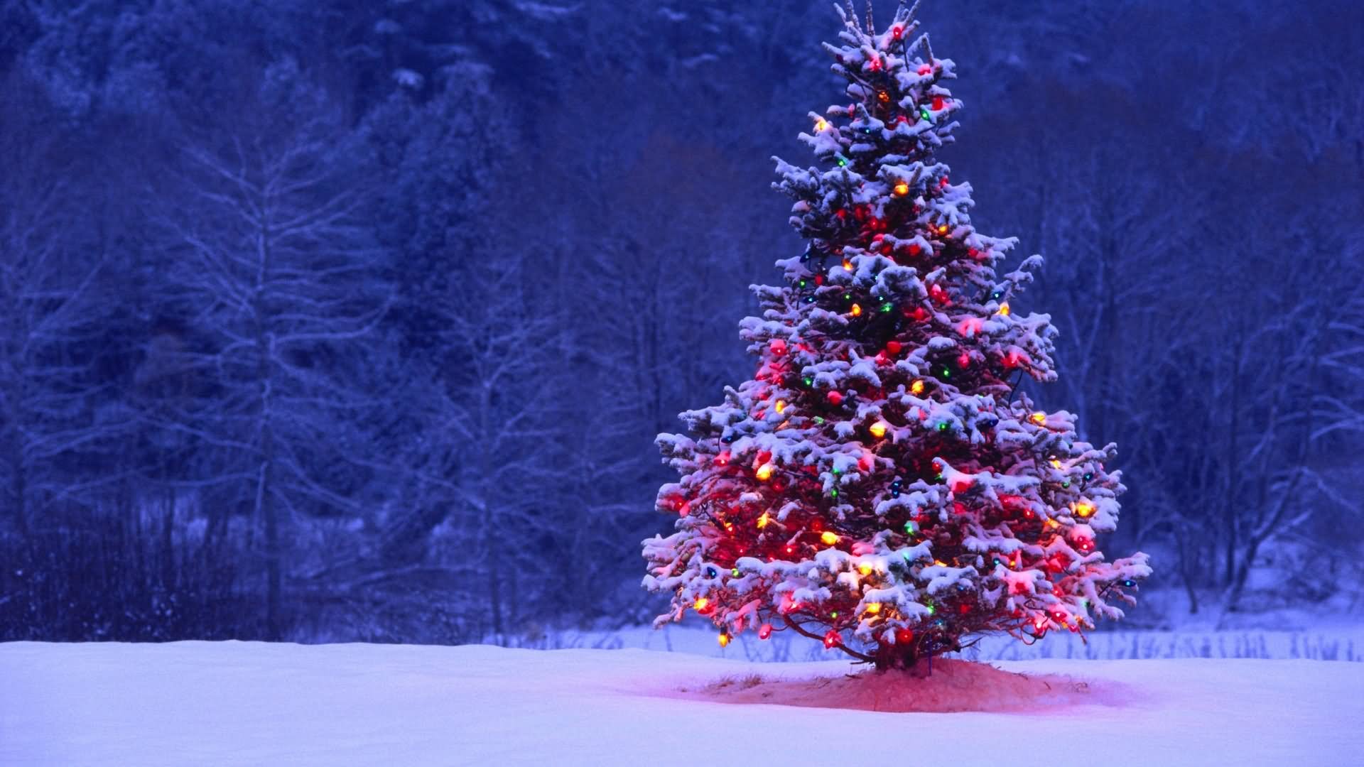 Beautiful Decorated Christmas Tree Wallpaper