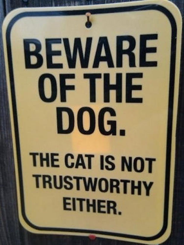 Beware Of Dog The Cat Is Not Trustworthy Either Funny Animal Protection Sign Board