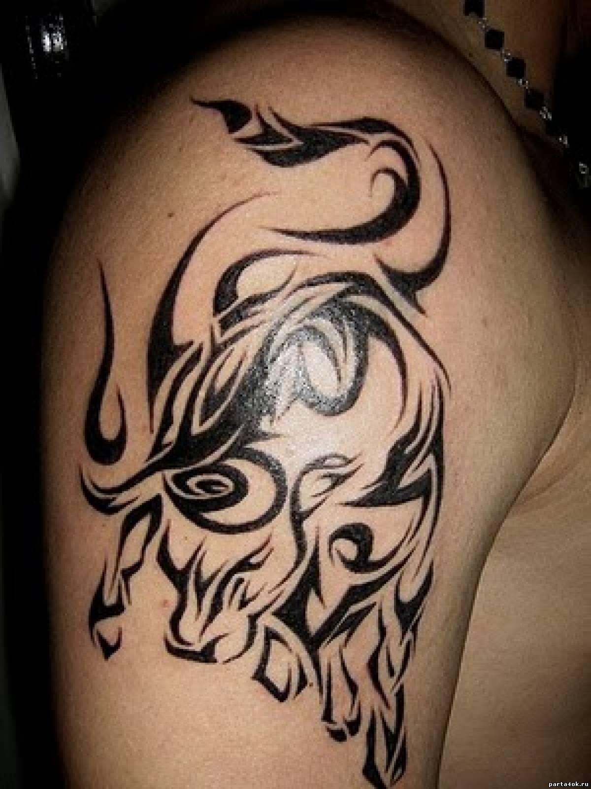 Black 3D Tribal Bull Tattoo On Right Shoulder