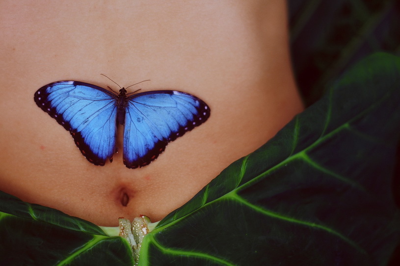 Black And Blue Cute Butterfly Tattoo On Stomach