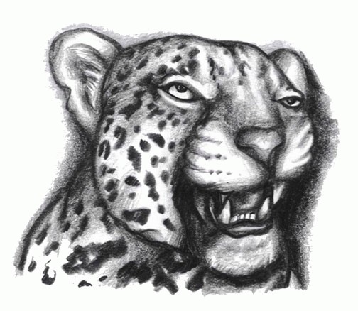 Black And Grey 3D Cool Leopard Face Tattoo Design
