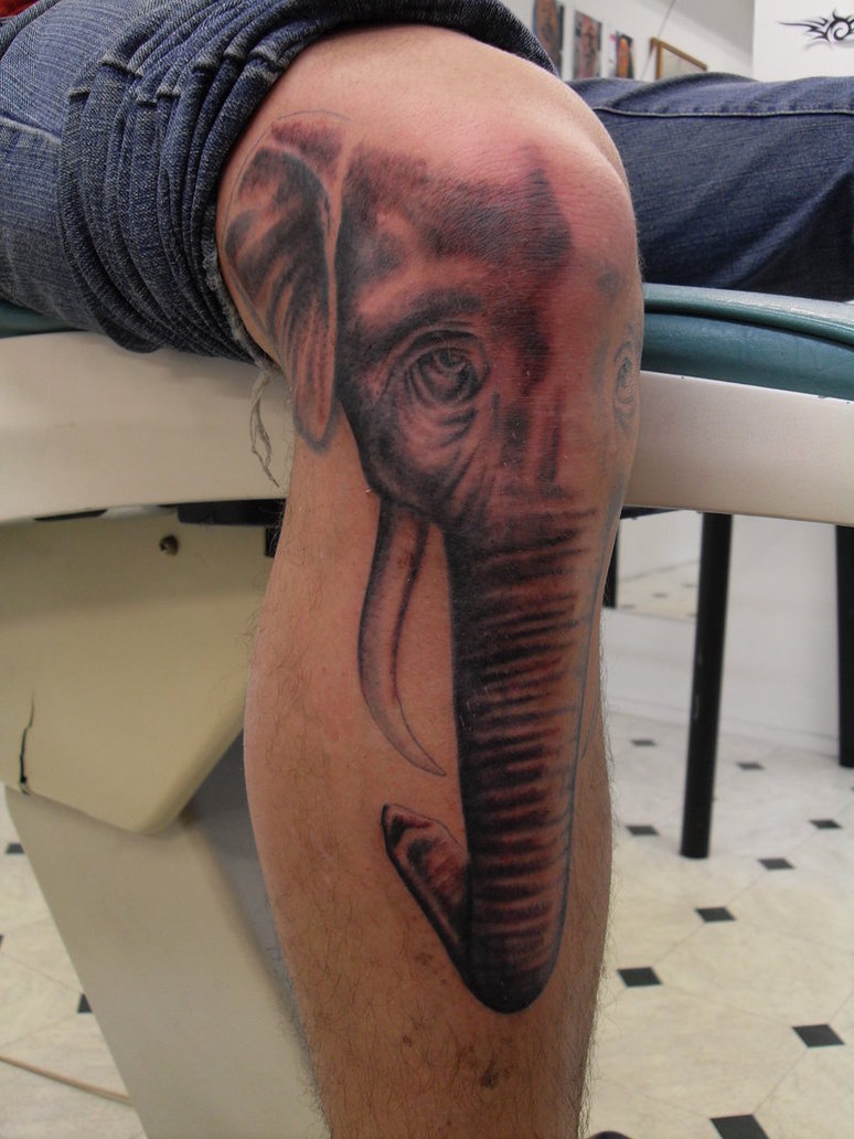 Black And Grey 3D Elephant Face Tattoo On Knee By Mike