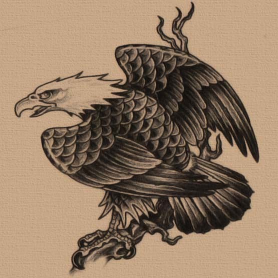 Black And Grey Eagle Sit On Branch Tattoo Design